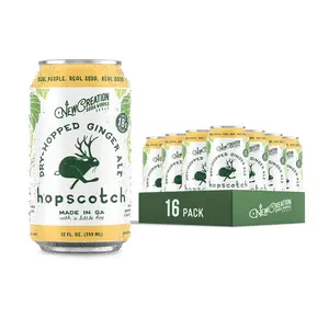 Hopscotch Dry-Hopped Ginger Ale (16-Pack)
