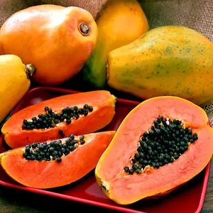 20 Dwarf Hawaiian Solo Sunrise Strawberry Papaya Tree Seeds Carica Fruit Plant