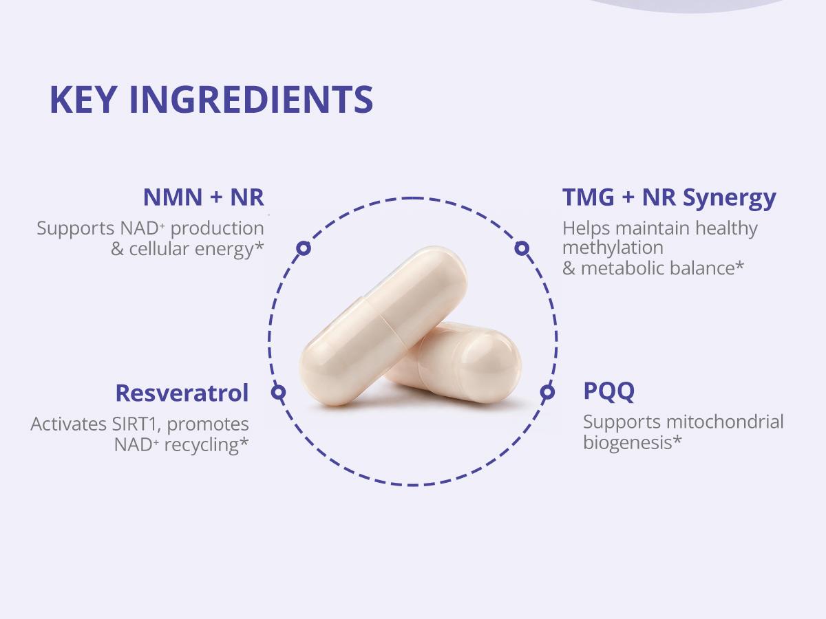 NAD+ Supplement for Women & Men – Multi-Pathway NAD Booster for Energy, Focus & Metabolic Health – with NMN, NR, Resveratrol, PQQ & Betaine
