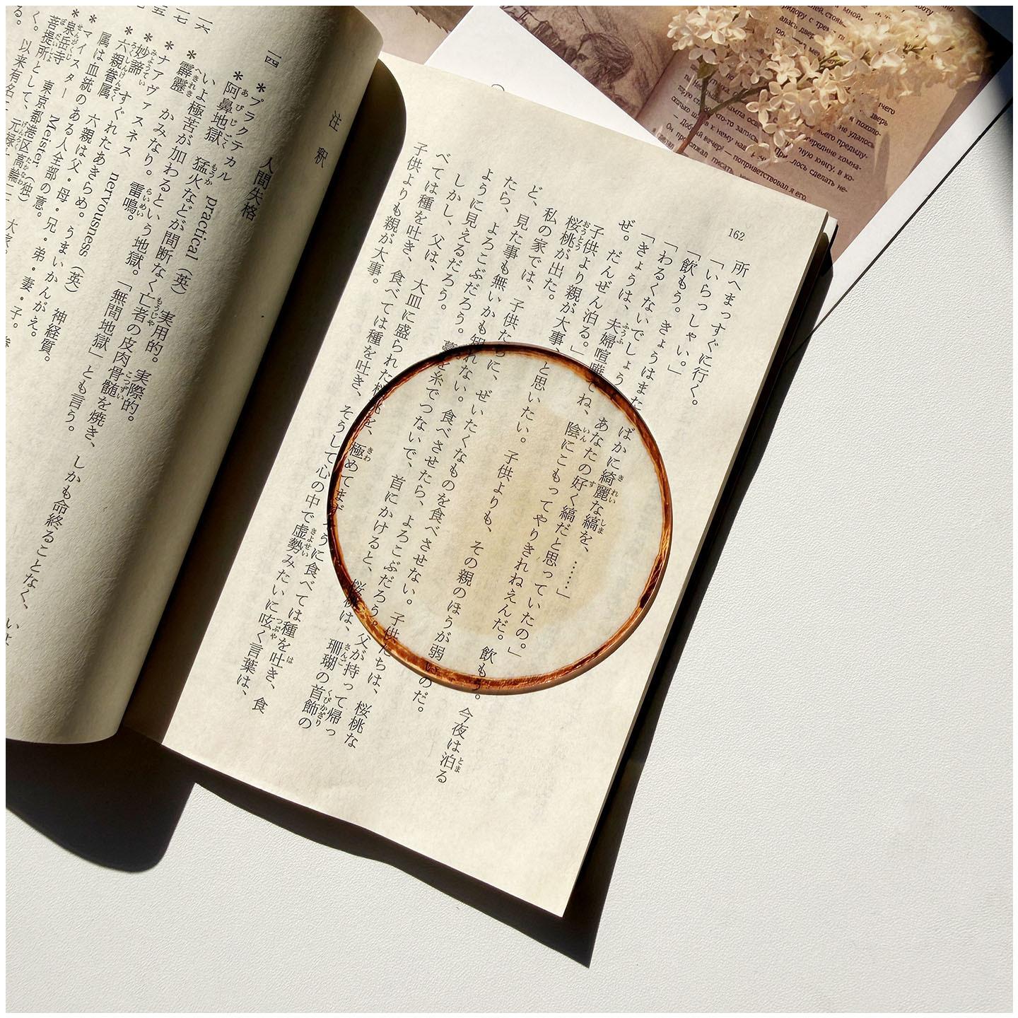 Sunny Fruit Acrylic Bookmark Set – Mother’s Day & Book Lover Gift