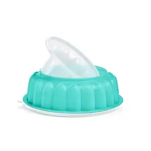 Jello Flan Dip Mold or Server