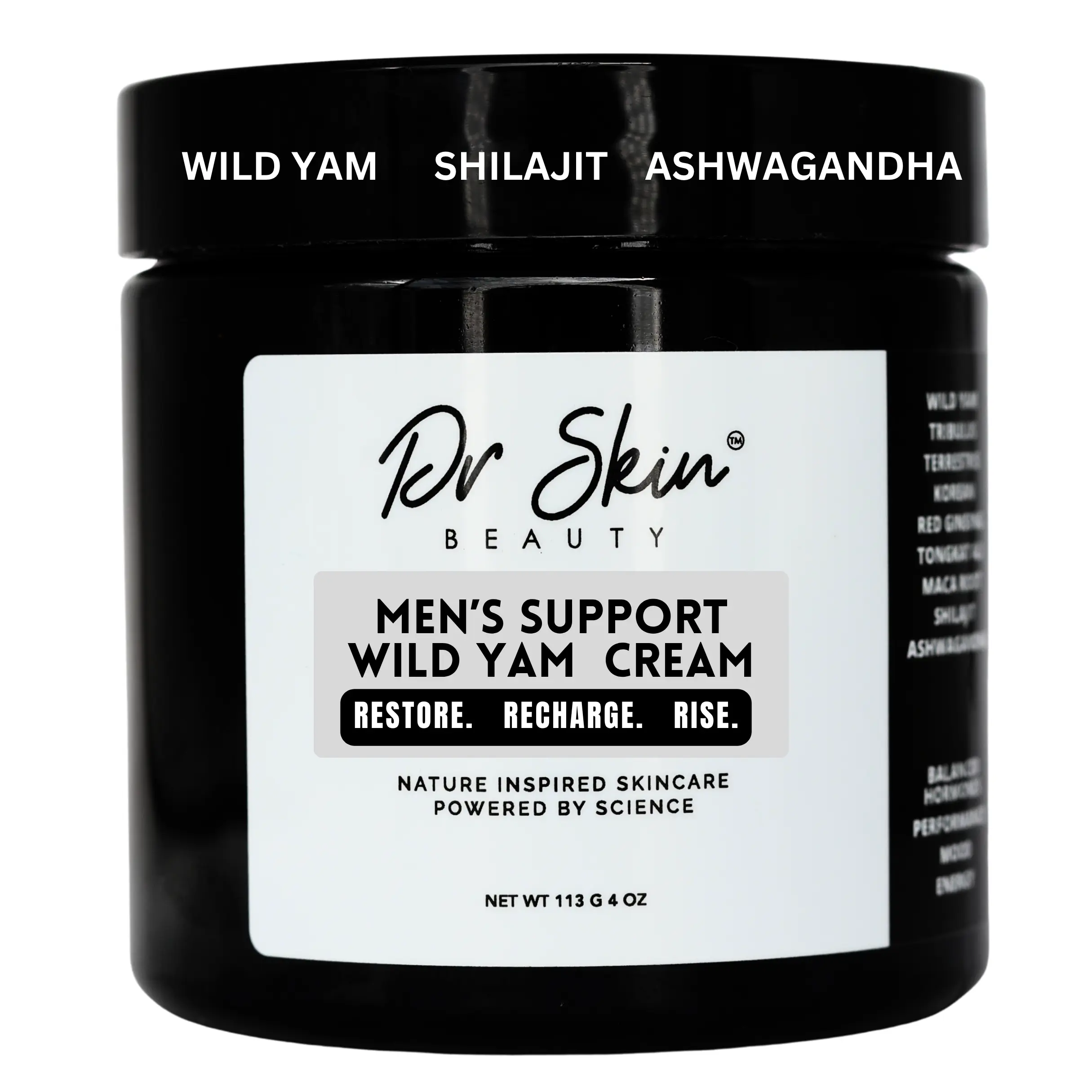 Dr. Skin Beauty Men's Wellness Wild Yam Salve - 4 oz Botanical