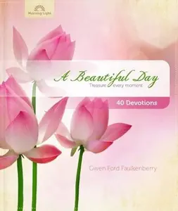 USED-A Beautiful Day by Ellie Claire (Hardcover)