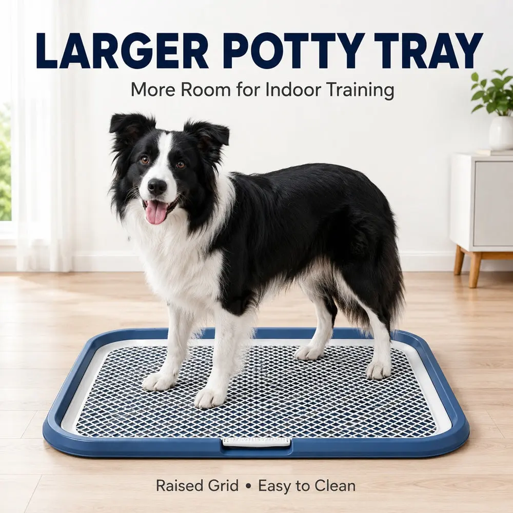 The AeroPotty™ Leak-Proof Indoor Dog Potty Tray — Puppy Training Toilet