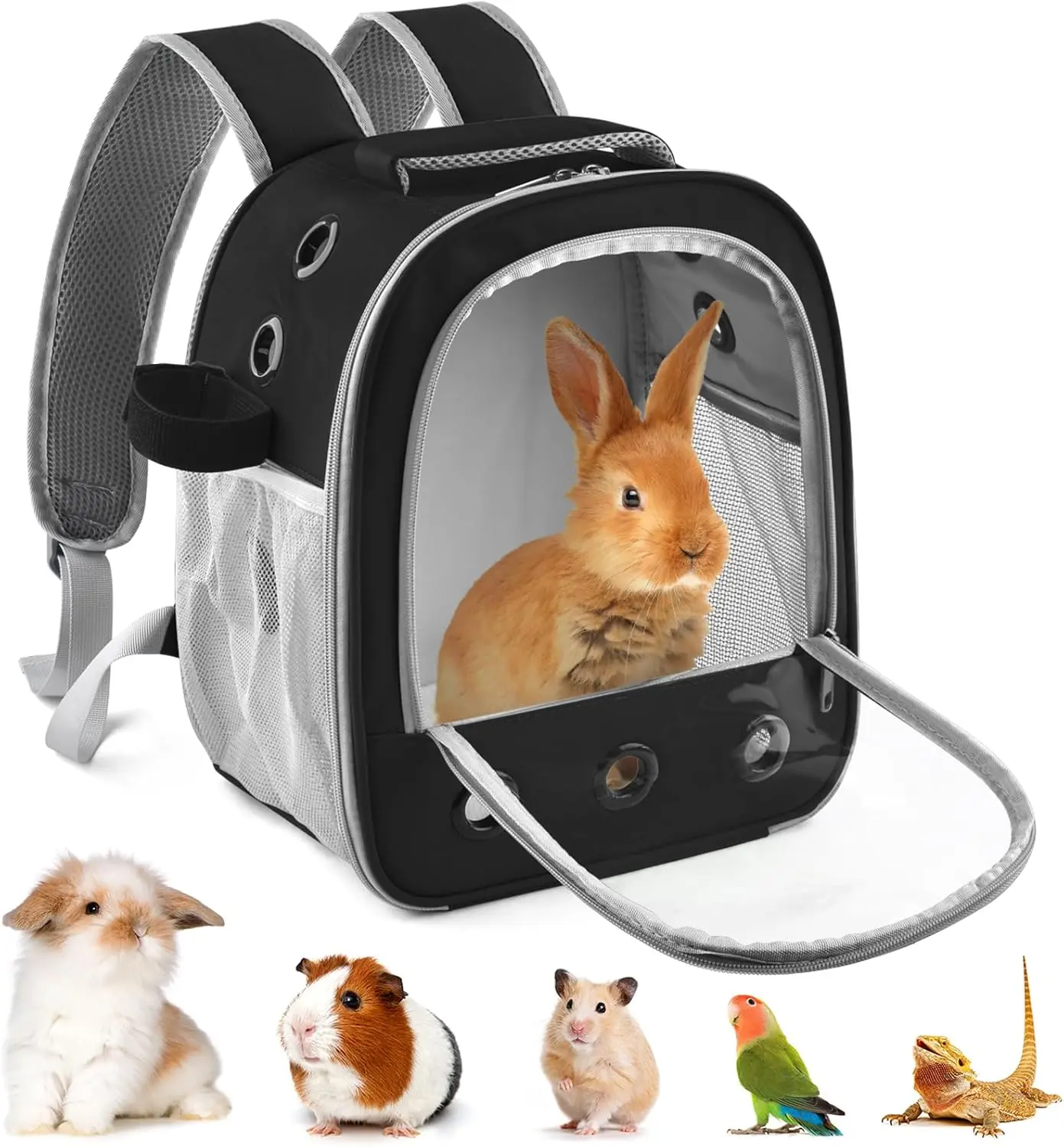Small Animal Carrier Backpack with Buckle, Adjustable Buckle, Carry Handle, Water Bottle Holder & Detachable Pad – Portable Outdoor Activities Bag for Guinea Pig, Rabbit, Bunny, Chinchilla, Bearded Dragon, Hamster, Parrot (Black), Breathability