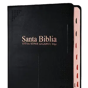 Biblia RVR1960 Letra SuperGigante 14puntos, Tapa vinilo negro,tamano personal   (Spanish Edition)
