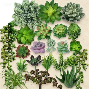 Fake Succulents Bulk 22 Pcs Unpotted Artificial Succulents Plants Small Aloe Hanging String of Pearls Cactus Green Indoor Outdoor Home Decor Centerpiece Arrangement Wall Decor