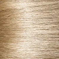 10V Lightest Cool Blonde