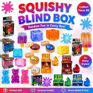 Random Squishy Blind Box Toy Perfect Gift for Kids and Adults Stress Relief Fun