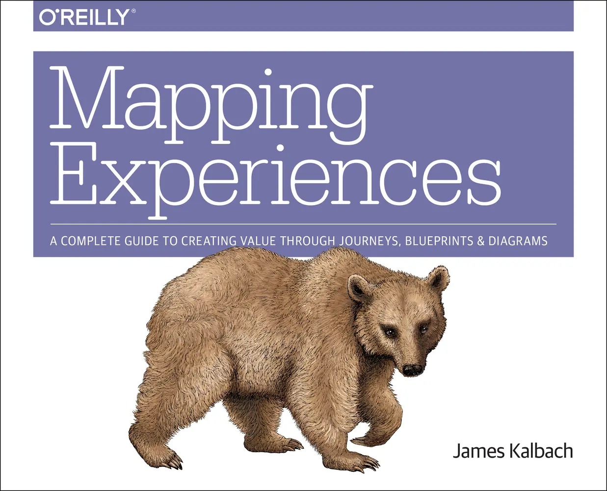 USED Book - Mapping Experiences: A Complete Guide to Creating Value Through Journeys, Blueprints, and Diagrams by Kalbach, James (Paperback) - english