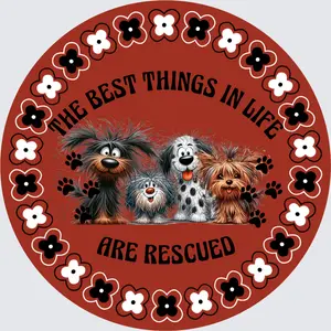 Best Things In Life Are Rescued