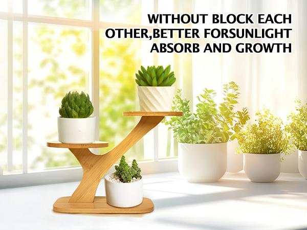 3-Tier Bamboo Succulent Planter Set - Aesthetic Desk Plant Stand Gift with 3 Ceramic Pots