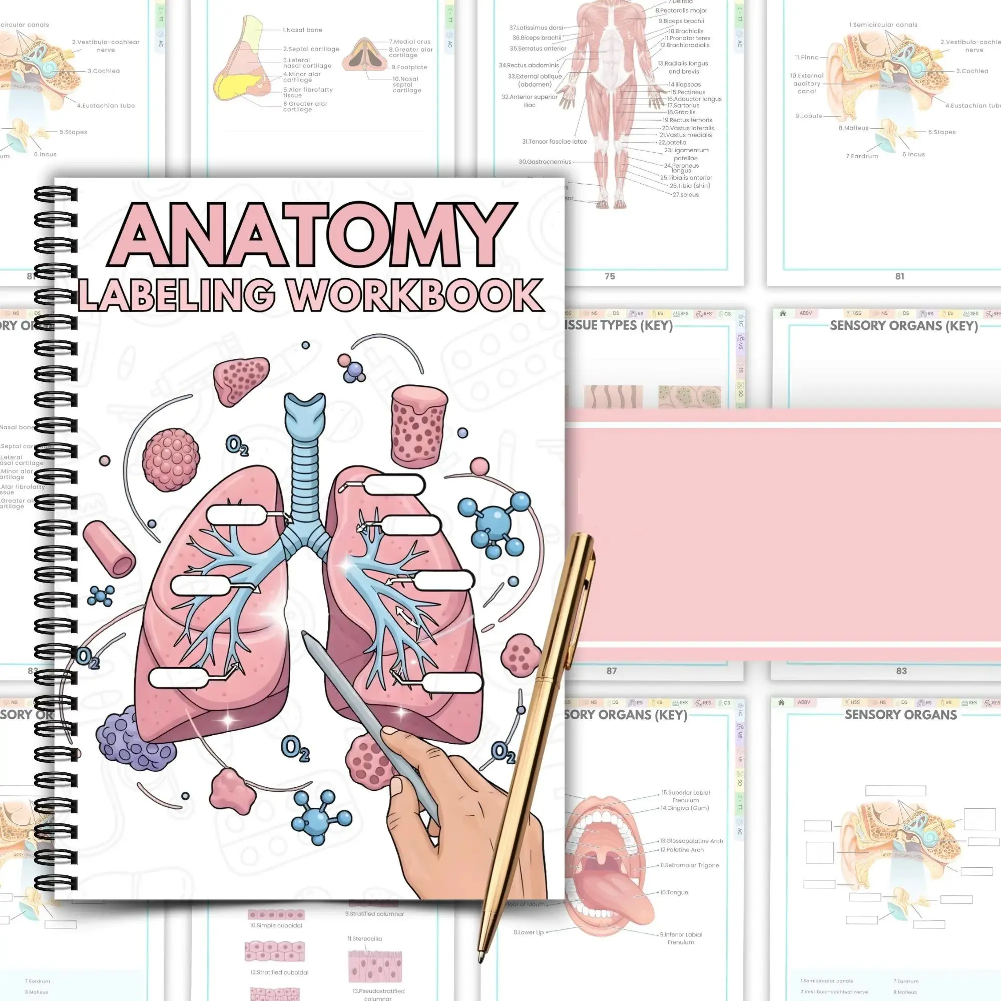 nursing guide book - TikTok Shop