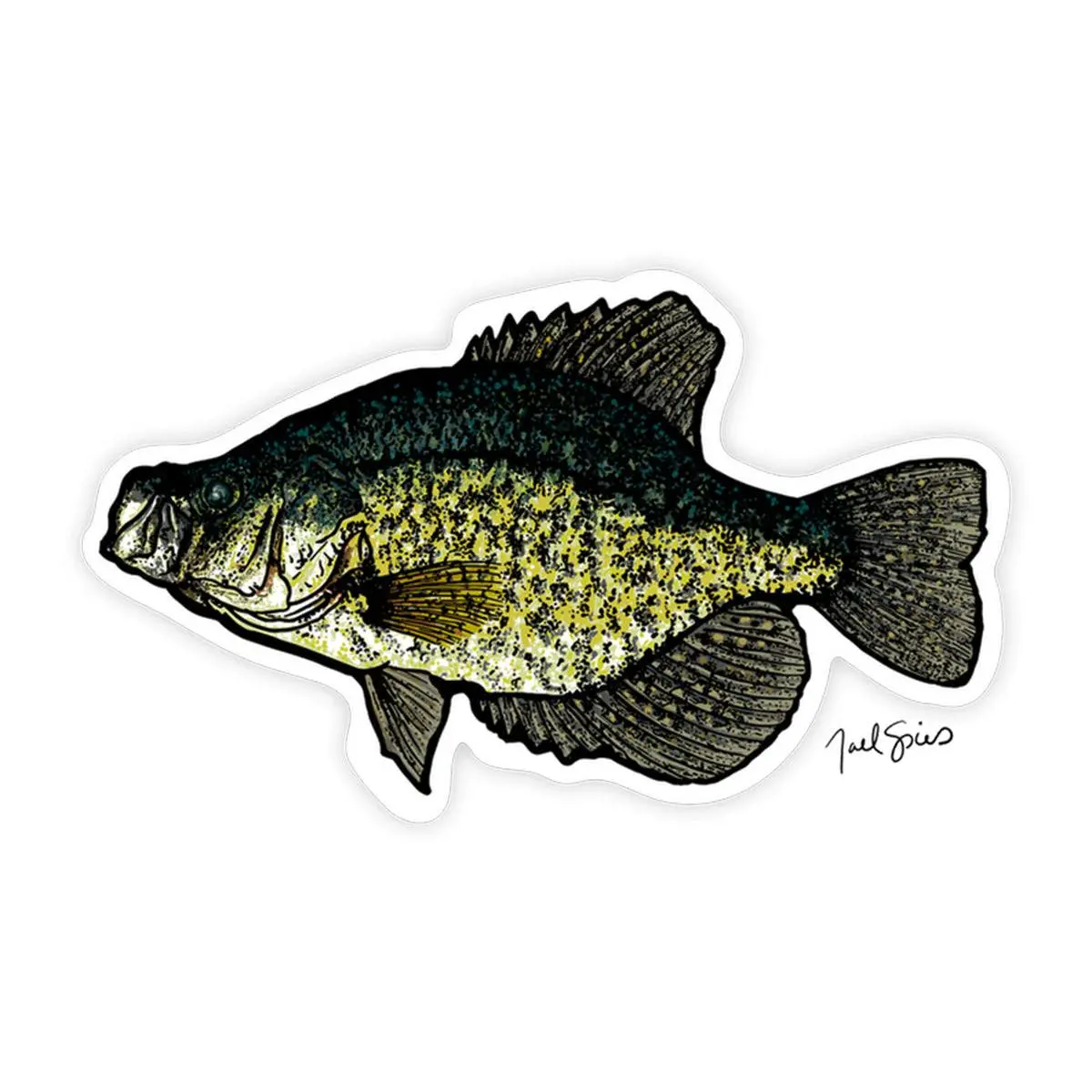 Crappie Decal