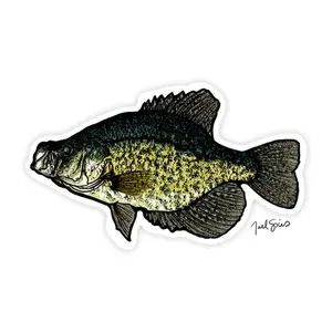 Crappie Decal Crappie Decal