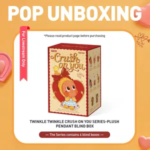 Unboxing-Twinkle Twinkle Crush On You Series-Plush Pendant Blind Box-3.0