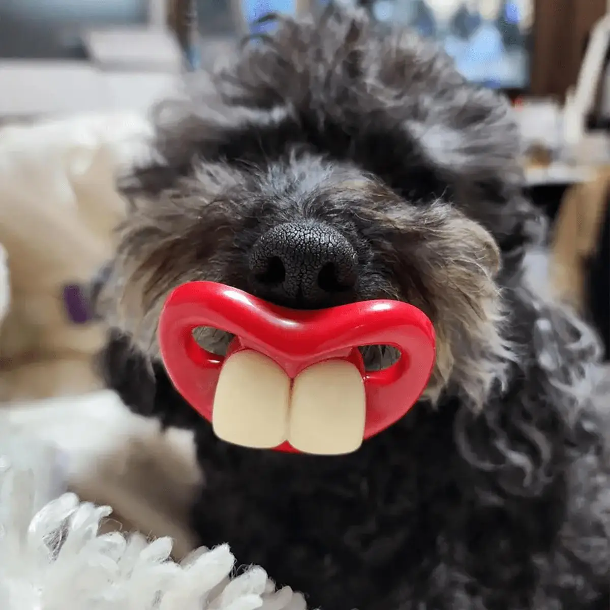 Pet Silicone Pacifier, Pet Supplies for Soothing