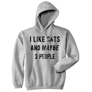 I Like Cats and Maybe 3 People Hoodie Funny Cat Saying Animal Lover Sweatshirt Unisex Vintage Fashion Hoodies Introvert Hoodie Funny Cat Pullover Novelty Sweatshirt Grey