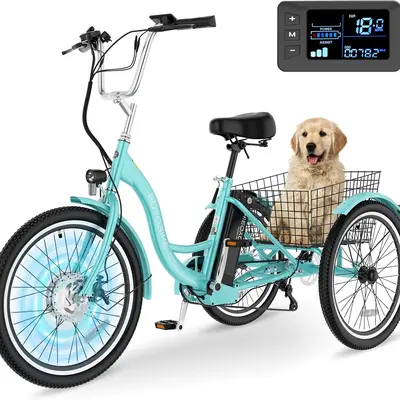 Mini Gas Powered Tricycle - TikTok Shop