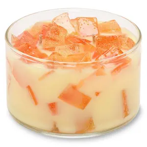Primal Elements  Grapefruit 9.5 oz. Two Wick Color Bowl Candle