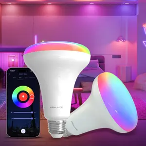 Smart BR30 LED Bulb 100W Equivalent,12W E26 Base LED Flood Light Bulbs,Works with Alexa Google Assistant,RGBCW 2700-6500K Recessed Light Bulbs for Cans,2 Pack