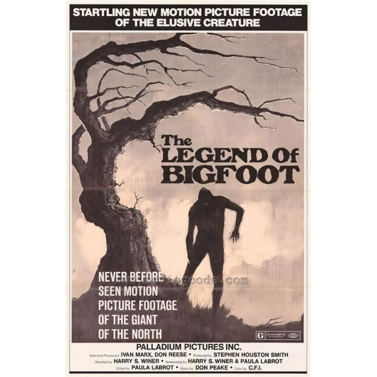 Legend of Bigfoot Movie Poster Print (27 x 40)