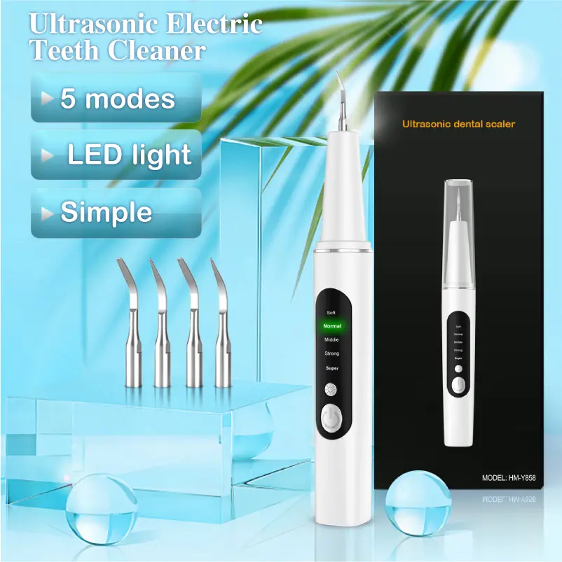 NBGRVLS Plaque Remover for Teeth, Dental Calculus Remover Teeth Cleaning Kit with LED Light & 5 Adjustable Modes
