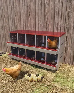 Red Galvanized Steel Automatic 10-Compartment Chicken Nesting Box Chicken Cage for Laying Eggs - Wall-Mount, Roll-Away Design, Waterproof, Ventilated, with Perch, Auto Collects, 9.84"d x 9.06"w x 8.46"h, Outdoor Furniture Father's Day Gift