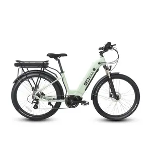 Roamer Mid Drive Torque Sensor Cruiser eBike