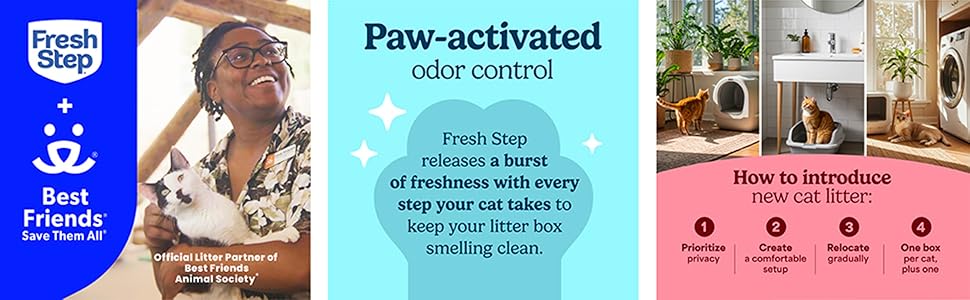 Fresh Step Clumping Cat Litter, Multi-Cat, Long Lasting Odor Control Kitty Litter with Activated Charcoal, Low Dust Formula, 14 lb