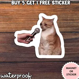 Crying Cat Meme Sticker, Funny Interview Cat Sticker, Sad Cat Meme Magnet, Relatable Humor Sticker M