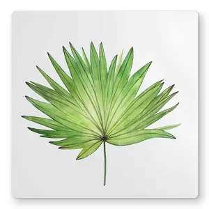 212 MAIN Nature-Inspired Petticoat Palm Artwork Metal Print Wall Art - 16x16 in Lightweight Aluminium Decor, Minimalist Scandinavian Home Office Posters & Prints