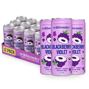 Wildwonder Sparkling Probiotic Beverage 12 Pack Blackberry Violet  Organic Vegan Drink with Prebiotic Fiber & Live Cultures  Low Sugar Sparkling Refreshment 12oz Cans