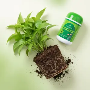 Potassium dihydrogen phosphate all-in-one plant nutrient. Promotes flowering, strengthens seedlings, boosts photosynthesis, and supports overall growth. A fast-acting, efficient supplement suitable for flowers, vegetables, fruit trees, and potted plants.