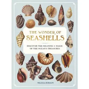 The Wonder of Seashells: Discover the Meaning & Magic of the Ocean's Treasures -- Melissa Hobson, Hardcover