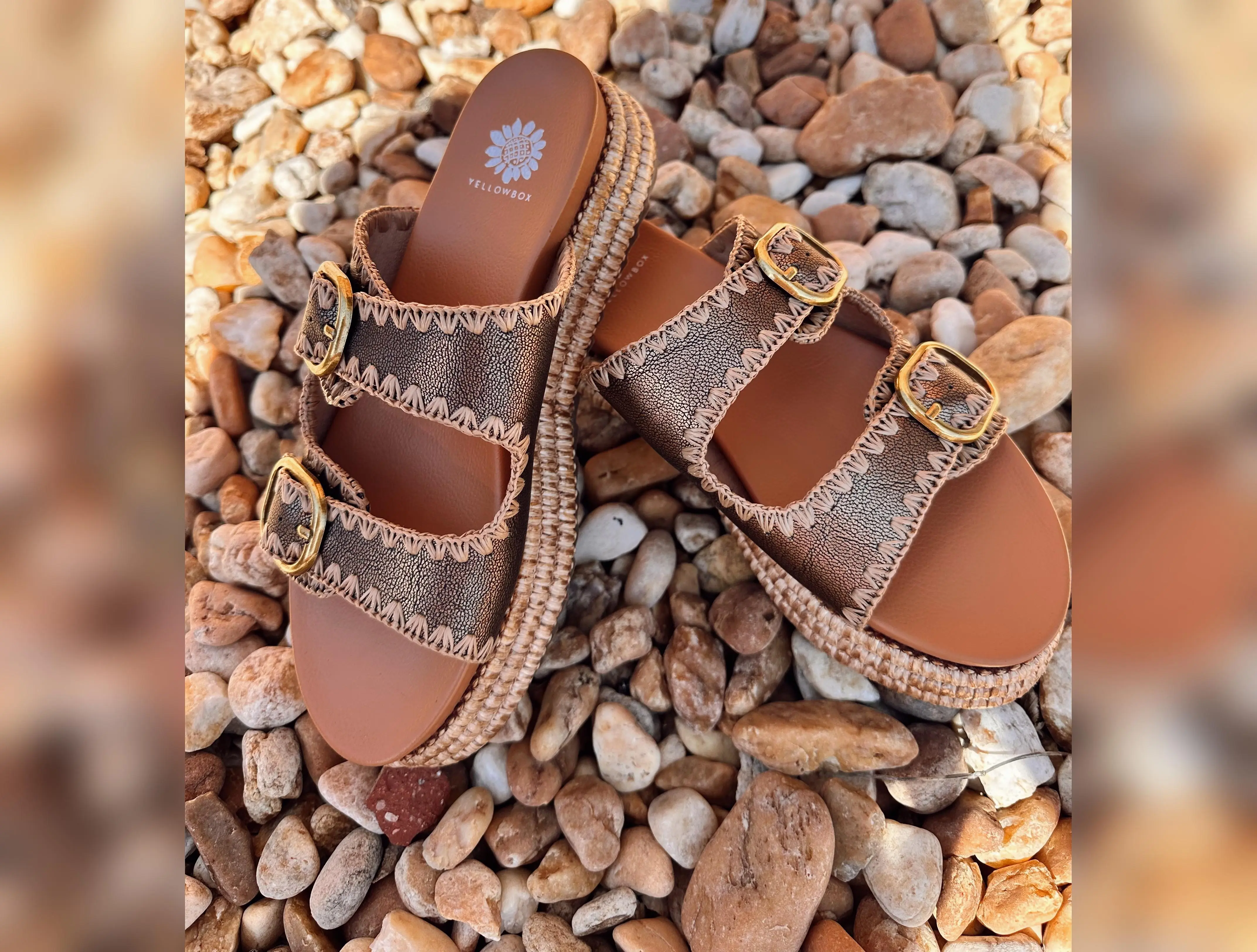 Havana Bronze Sandal     