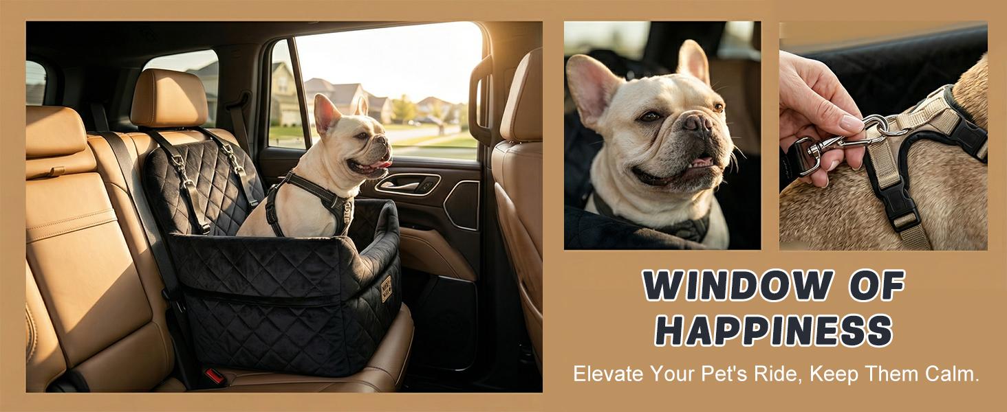BOFNL Car Pet Seat – Pet car height booster seat with a washable, removable cover for easy cleaning; soft sofa for cats and dogs; portable pet bed suitable for size and medium dogs — usable indoors, outdoors, and while traveling by car, black gray BOFNL Car Pet Seat – Pet car height booster seat with a washable, removable cover for easy cleaning; soft sofa for cats and dogs; portable pet bed suitable for size and medium dogs — usable indoors, outdoors, and while traveling by car, black gray