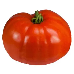 Beefmaster F1 Tomato Seeds
