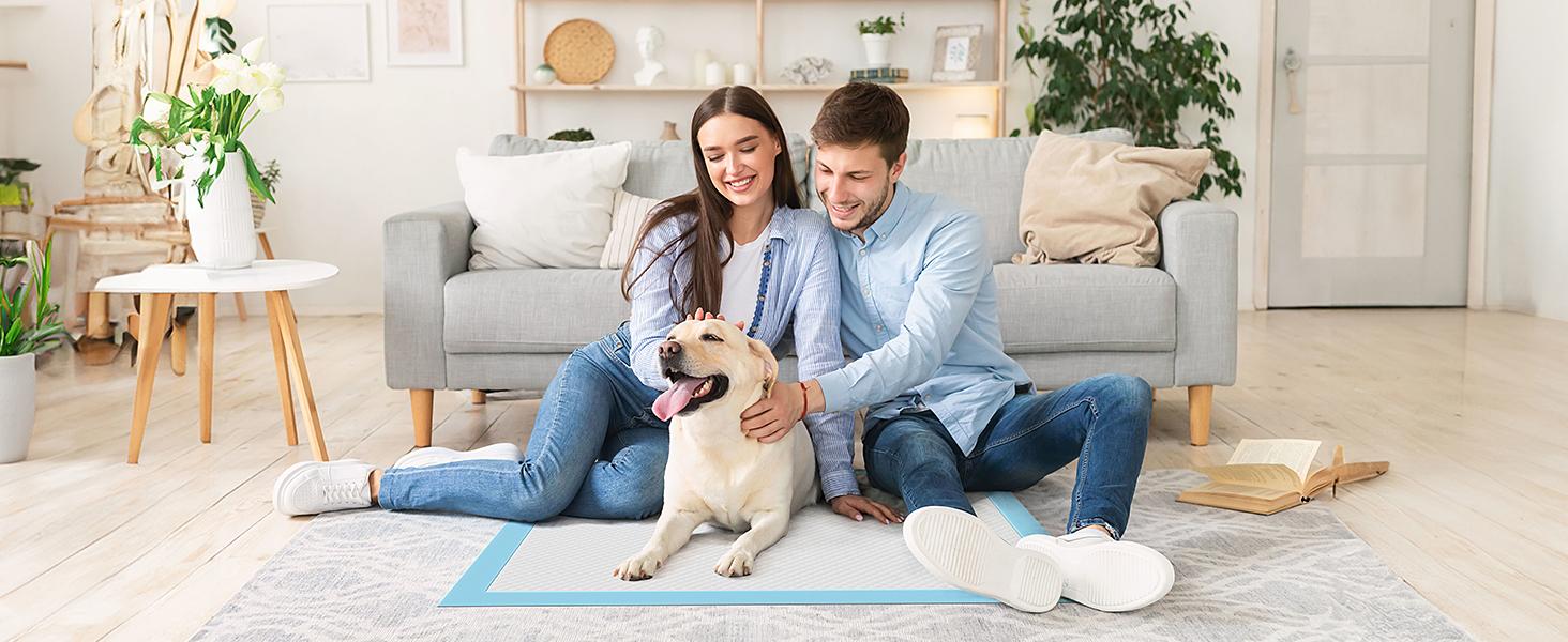 Sweetcrispy  Dog Puppy Pee Pads, Disposable Training Pee Pads, Leakprood and Quick Drying,  for Potty Training, Incontinence Pads