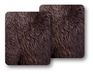 Grizzly Bear Replacement Vital Zones