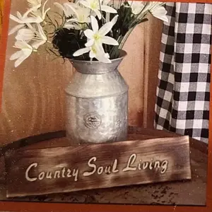 Country Soul Living