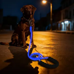 LED Dog Leash Rechargeable Light Up for Night Walks High Visibility Safety Leash for Small & Large Dogs with USB Battery & Multiple Modes