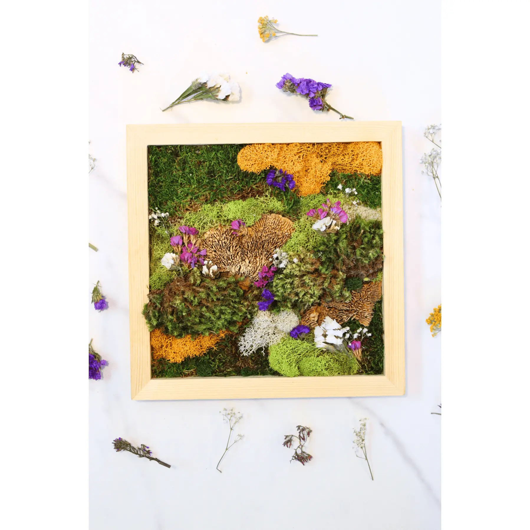 DIY Vertical Moss Wall Art Kit