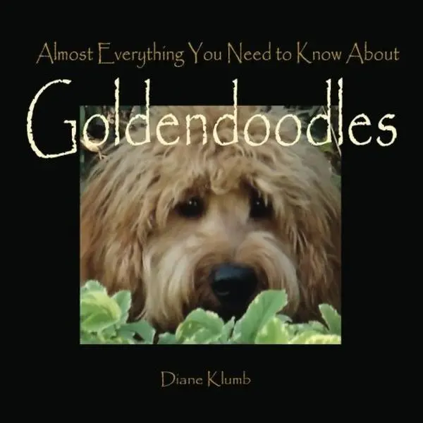 USED-Almost Everything You Need to Know About Goldendoodles by Diane Klumb (Paperback)