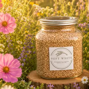 Soft White Wheat Berries 6lbs Glass Jar Regeneratively Raised Superior Nutrient Dense Low Gluten Structure Great for Breads Yeast Pantry Ready