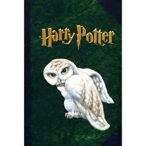 USED-Harry Potter: Hedwig the Owl by J. K. Rowling (Hardcover)