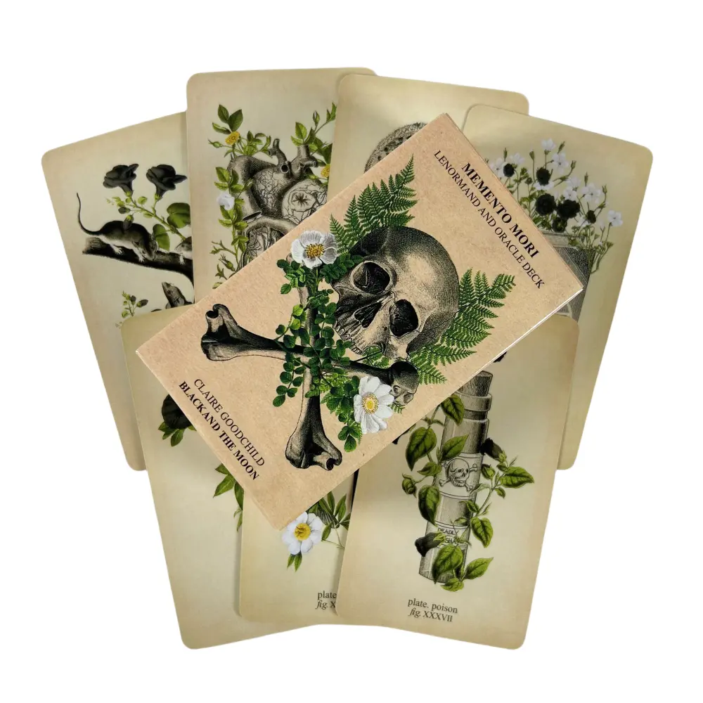 Memento Mori Lenormand And Oracle Deck Tarot Cards Black And The Moon English Visions Divination Edition Borad Playing Games