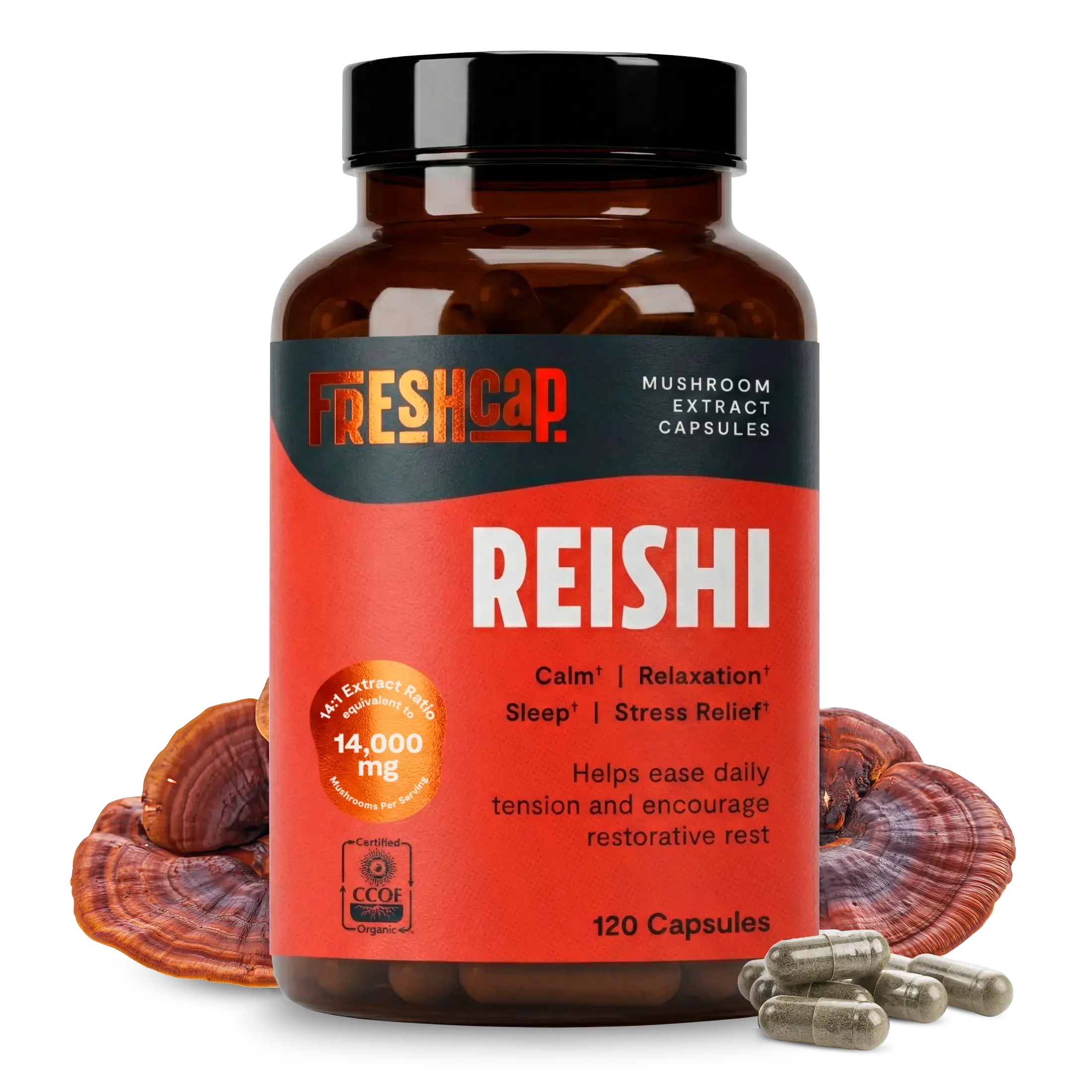 Organic Reishi Mushroom Capsules