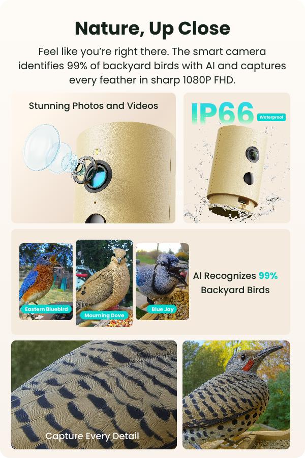 Birdfy Smart Bird Feeder with Camera Solar Powered, Night Insight & Slow-Motion Video for Outdoors & Backyard Birds Watching, AI Identify 6000+ Species , Wood