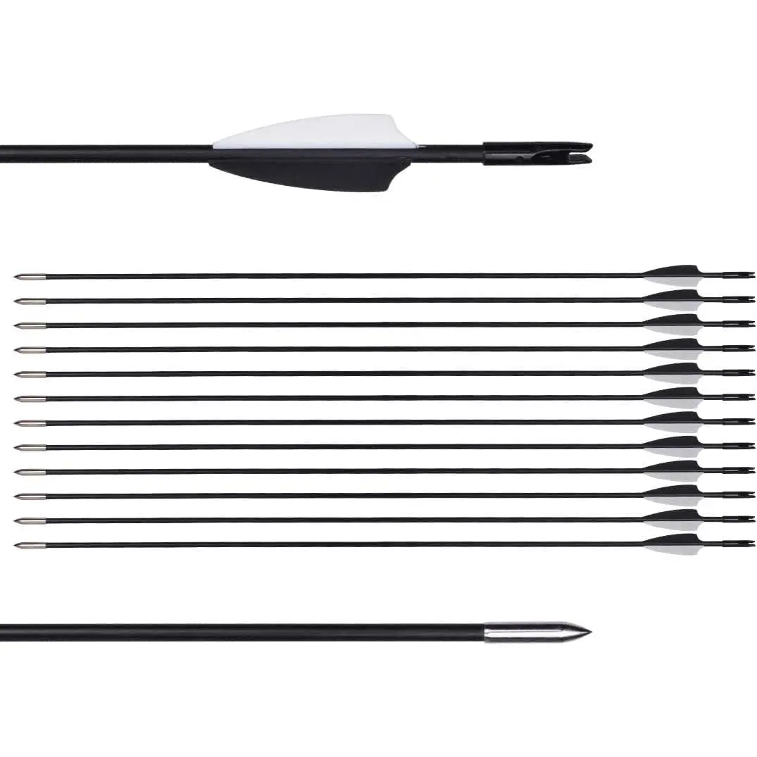 31" Straight Shaft Training Arrows - 100% New Item Fiberglass Shaft Archery Practice Target Arrows for Kids, Family with TPU Plastic Components, Compatible with Recurve, Compound & Longbows, Fiber Glass